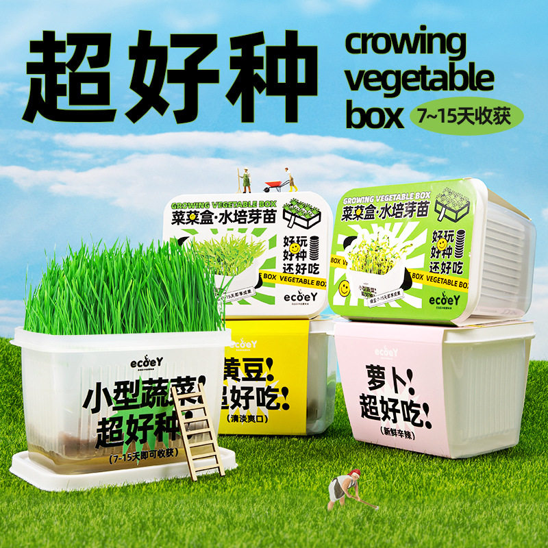 现货速发无土栽培水培蔬菜育苗盘培育盆绿豆芽发芽苗盒子种植豌豆