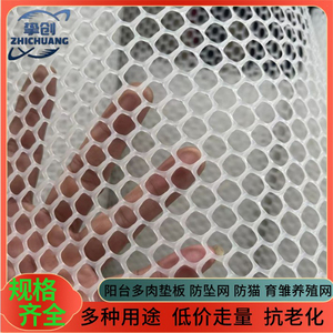 速发塑料网养殖网养鸡坠护网鸭鹅鸽笼漏粪地网台化防防老防围挡