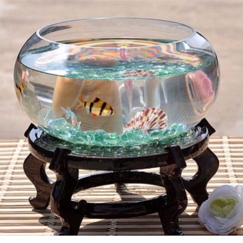 速发透明大号玻璃花瓶水培花盆缸水养植物碗莲盆睡莲水仙盆花卉