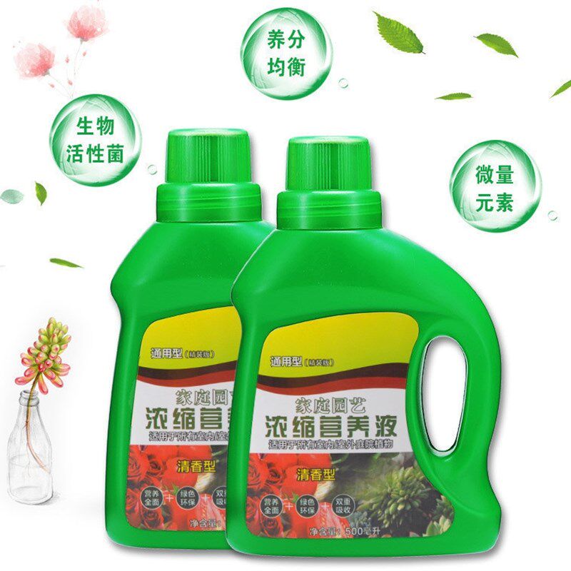 速发小叶赤楠营养液水养专用水培植物园艺花卉促生长生根液通用型