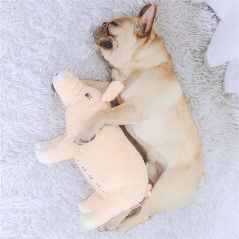 速发发斗玩具公狗大迪法泄幼犬泰型犬磨牙布偶毛绒发情期顾之
