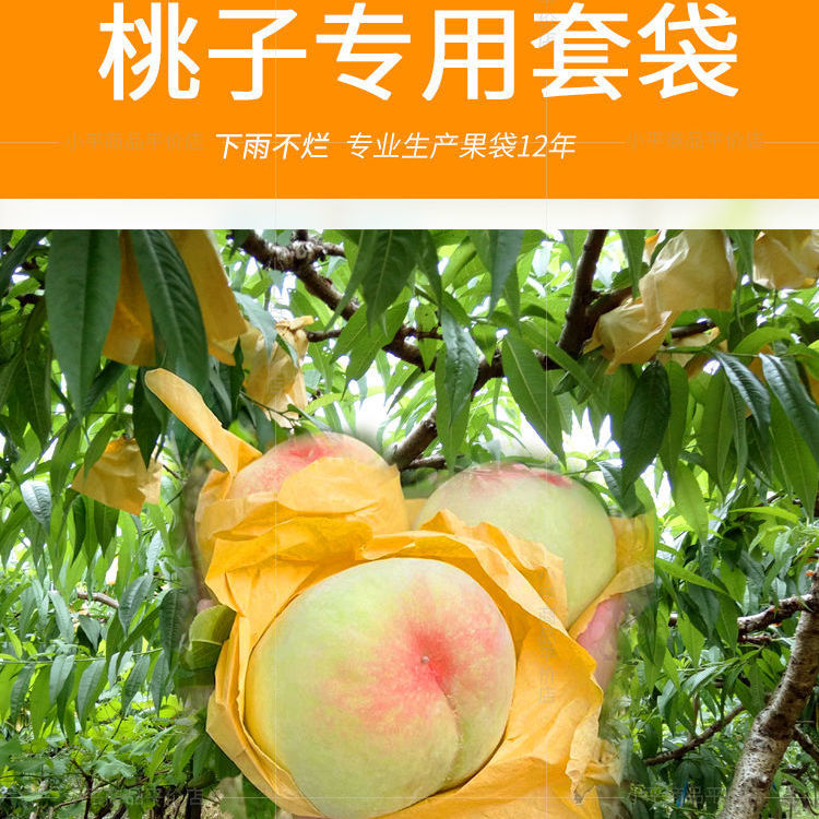 速发桃子桃护套雨专用袋保树防虫防袋水黄桃葡萄芭乐果袋网罩水果