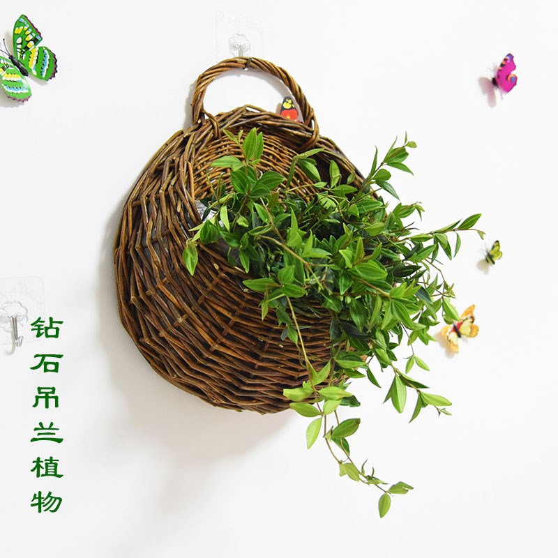 现货速发挂篮壁挂花盆藤编花篮吊篮编织吊兰墙上悬挂篮子墙壁挂壁