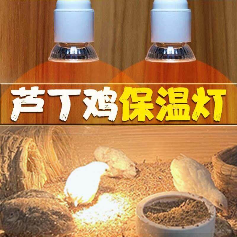 现货速发芦丁鸡恒温灯自动智能温控器保温灯取暖灯饲养箱灯加温加