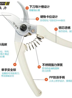 天狼 史拉力园艺剪 修枝剪果树园林绿化家用花园锋利耐用园艺剪刀