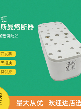 全新快速熔断器保险170M7640 170M7645 170M7649 170M7651