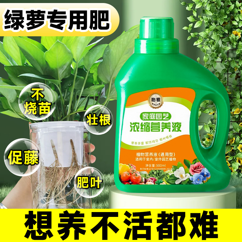 绿萝营养液肥料专用肥植物盆栽绿箩营养液花肥料家用土水培养花用