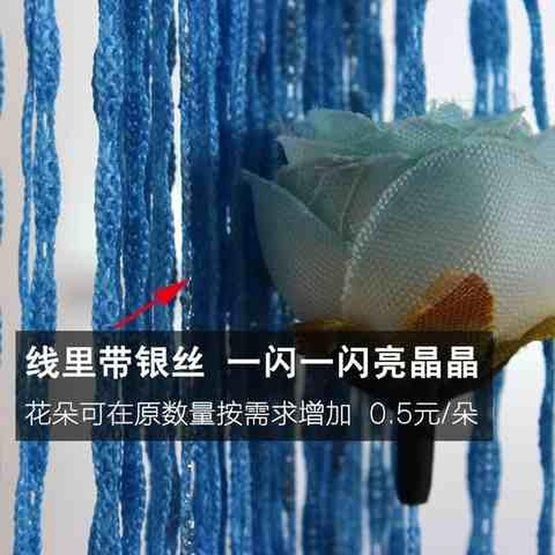 线帘隔断帘屏风珠帘网红挂式吊帘子卧室客厅装饰窗帘隔帘流苏门帘
