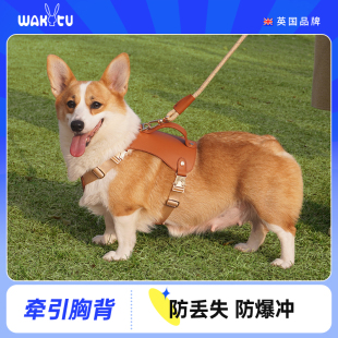 小中大型犬胸背带遛狗牵引绳 wakytu英国狗狗夏季 出行牵引绳背心式