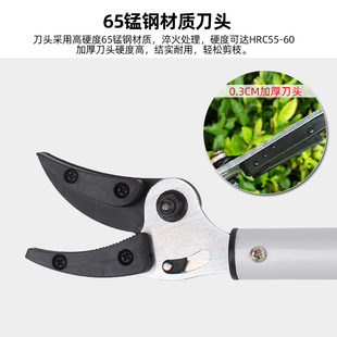 摘果剪刀高枝剪摘果神器花椒摘葡萄修树枝采果剪高空农用家用工具