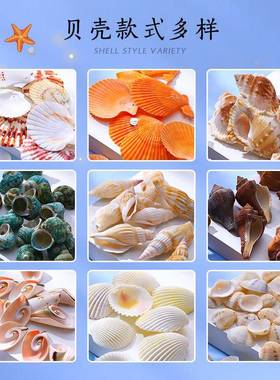 天然贝壳海螺海星儿童手工材料装鱼缸造景摆件饰品漂流瓶饰品