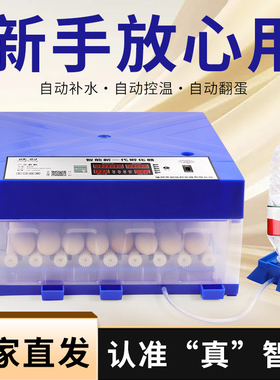 孵化器厂家直销鸡鸭鹅鸽子芦丁鸡全自动家用智能控温便携孵蛋箱