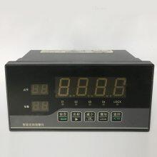 LDDB-301/16智能巡检仪上海上润仪表