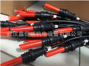 BRaHma火焰检测器FC13/R,FC13/A,FC13/V电眼