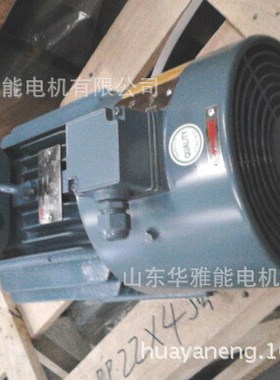 老化痕迹YBF3-355L3-6-355KW电机二级能效煤安检查绕组绝缘是否