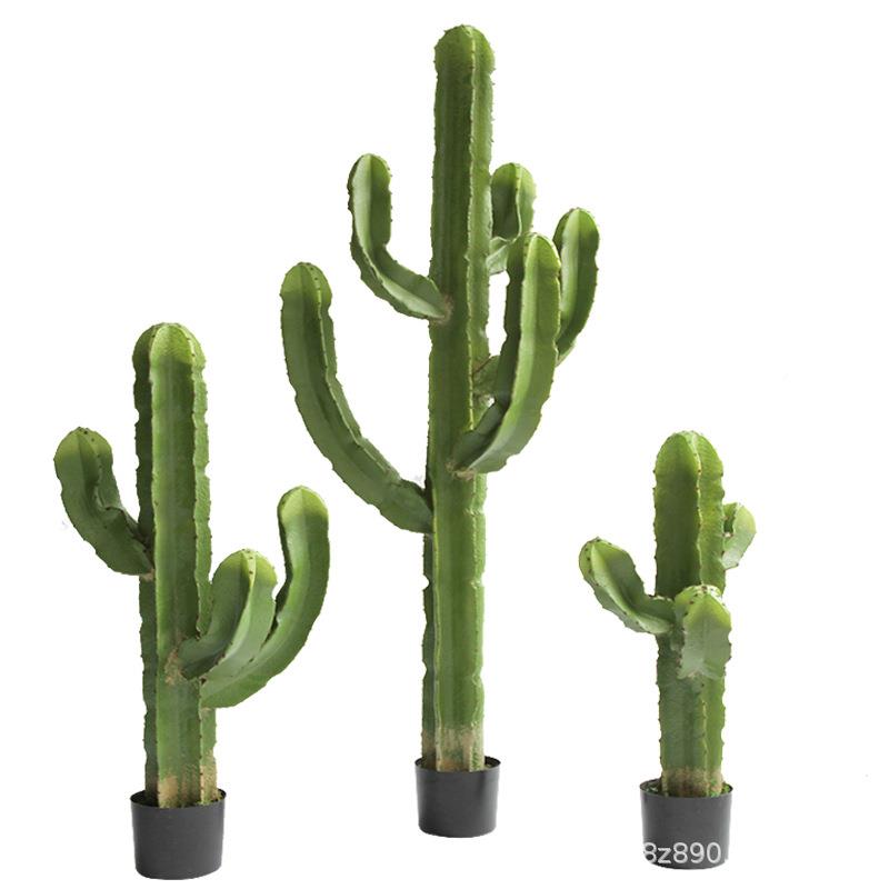 北欧风仿热真植仙人掌落地植物仙人柱盆栽带沙漠绿HHW假软装橱窗