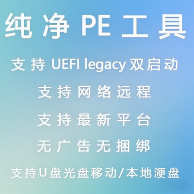 纯净版PE工具U盘启动制作m2固态win系统光盘网络PE软件可远程