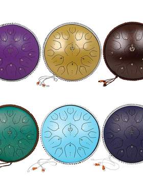 专业级手碟14寸15音空灵鼓D调钢舌鼓梵音鼓忘忧鼓打击乐器handpan