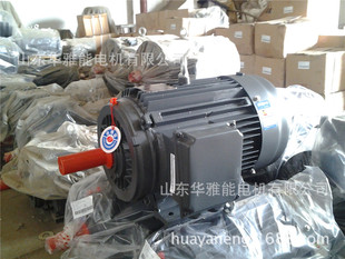 90S 上线侧线380V 卧式 IP55电机 0.75KW立式 可替代湘潭电机YE5