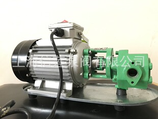 齿轮泵 WCB-50微型输油泵 自吸便携式油料运输泵 手提式油桶油泵