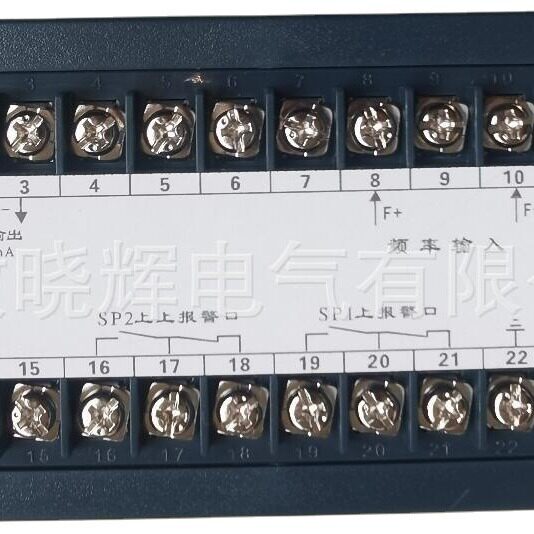 速度监控显示仪智能转速表XSM/A-H1GT2AB1SOVO