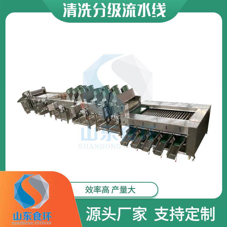 果蔬清洗烘干打蜡分级流水线沃柑清洗分级机红薯清洗分级流水线