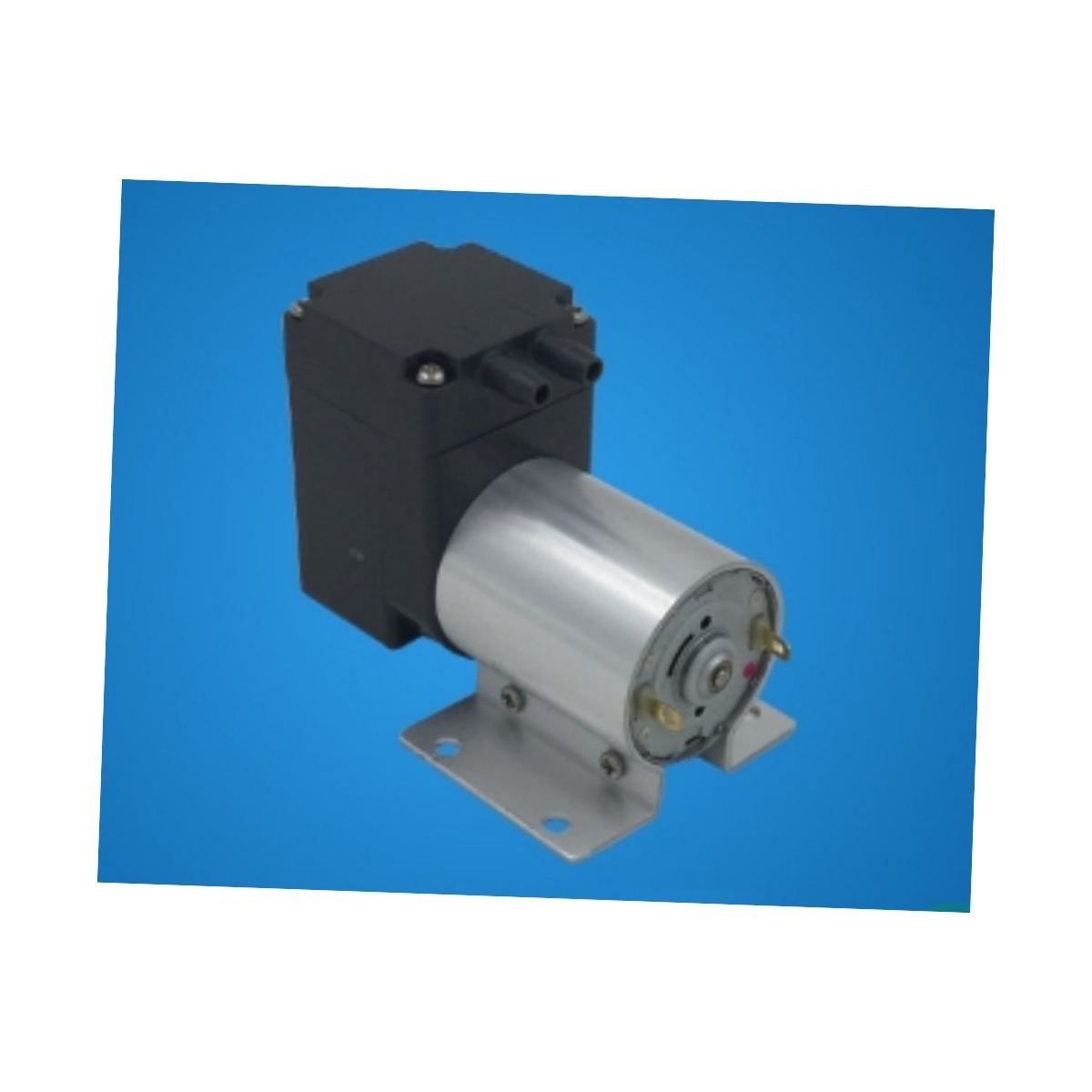 价可议-有刷微型气泵型号QW977-DX512-1605-3700N库号M39626