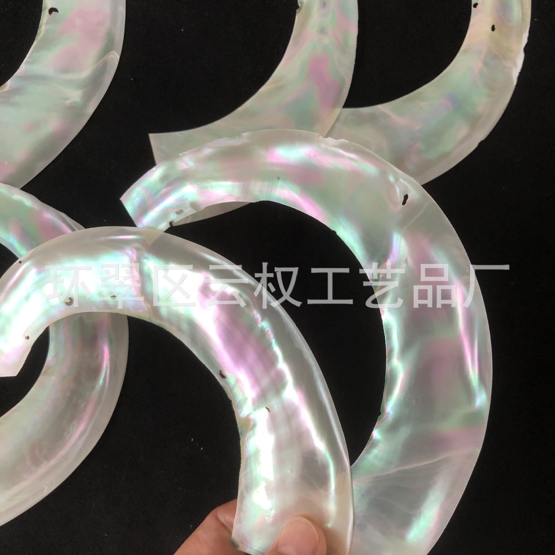 半圆形带眼夜光螺贝壳片螺钿片雕刻镶嵌漆器装饰饰品乐器珠宝首饰