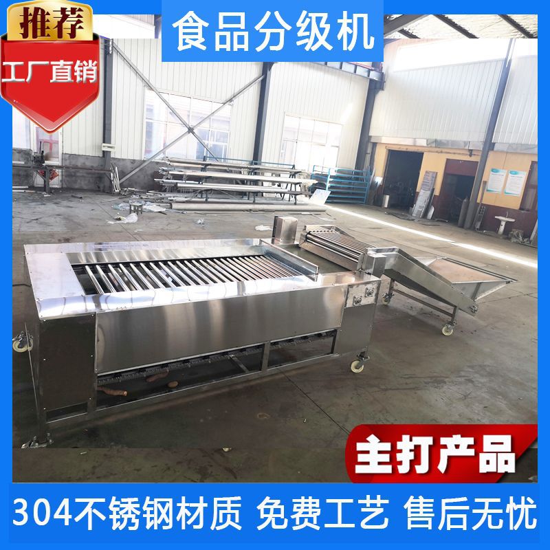 选果机 食环不锈钢圣女果分级机 核桃分选机 红薯土豆分选机图片