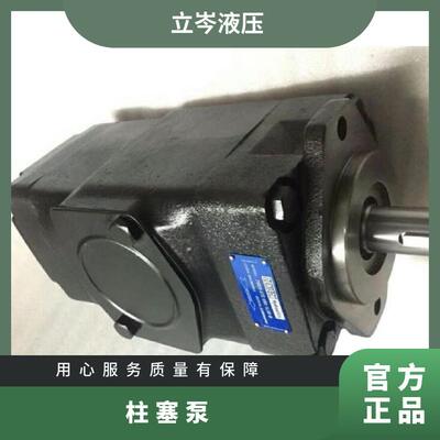 美国丹尼逊DENISON变量柱塞泵PV20-1R5D-C00PV20-2R1D-F00