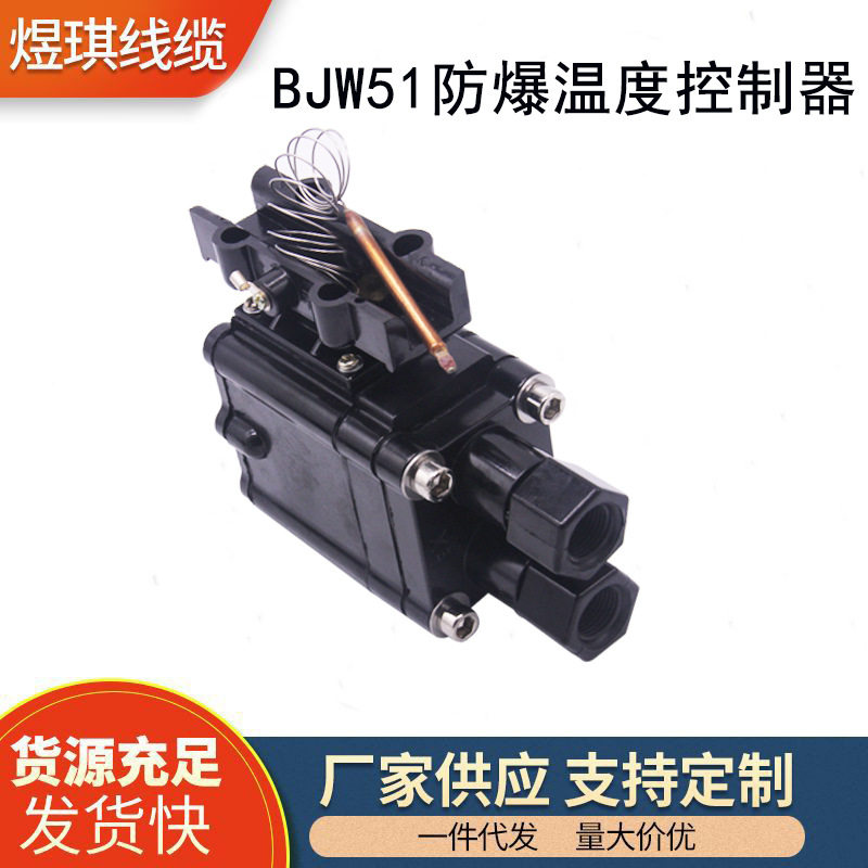 BJW51防爆温度控制器电伴热带配件恒温可调温控器220V/380V控温