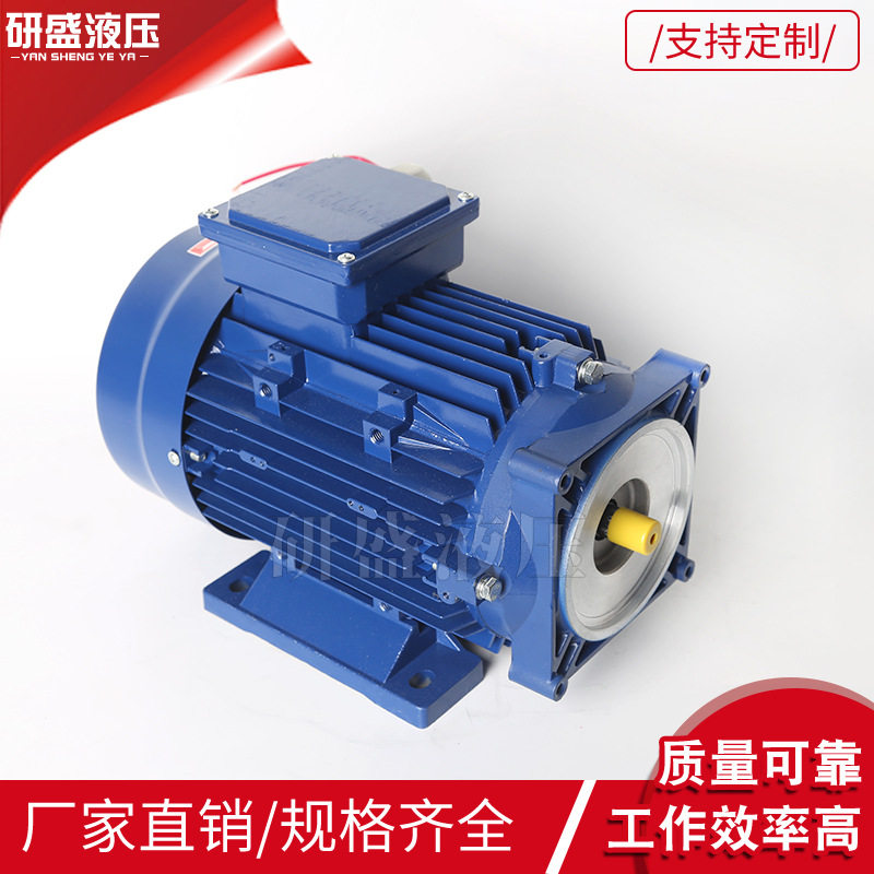 AC220V 0.75kw-4kw交流电机铸铁电机液压动力单元升降机货梯泵站