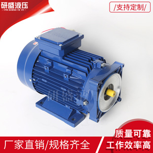 升降机货梯泵站 4kw交流电机铸铁电机液压动力单元 AC220V 0.75kw