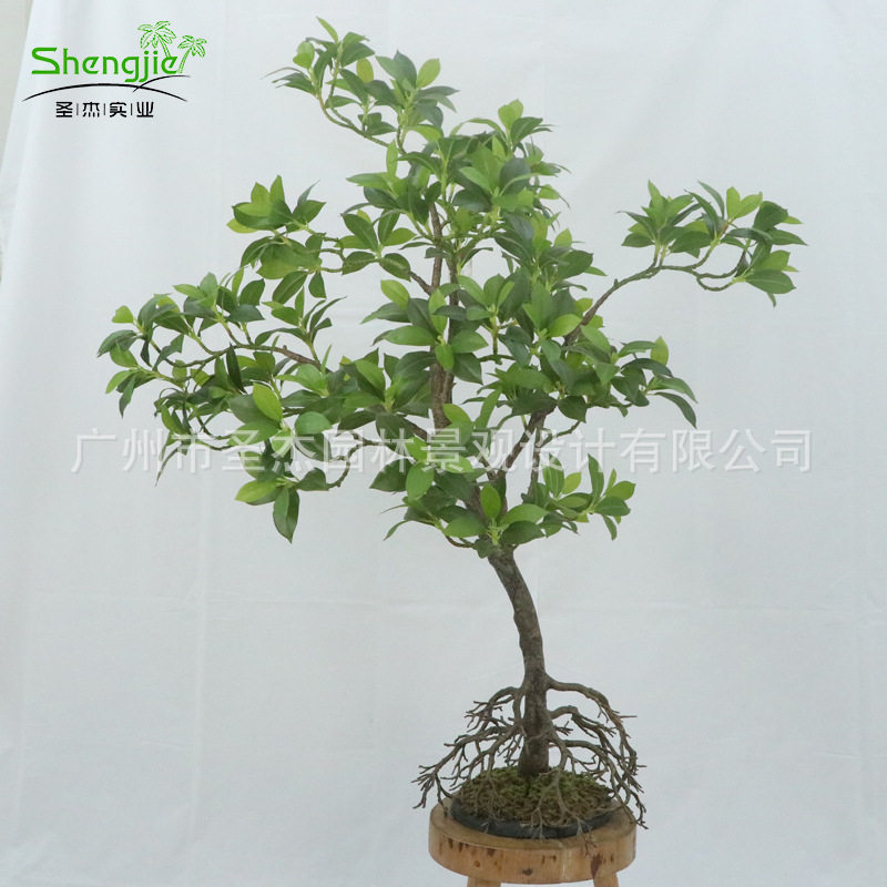 新款仿真红树林假树仿真造型树热带红树林现货批发室内外造景仿真