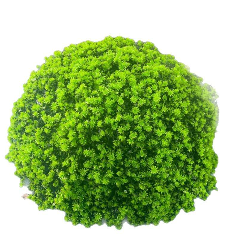 户外绿植井盖遮挡装饰品绿植球仿真绿植佛家草草球装饰米兰草球