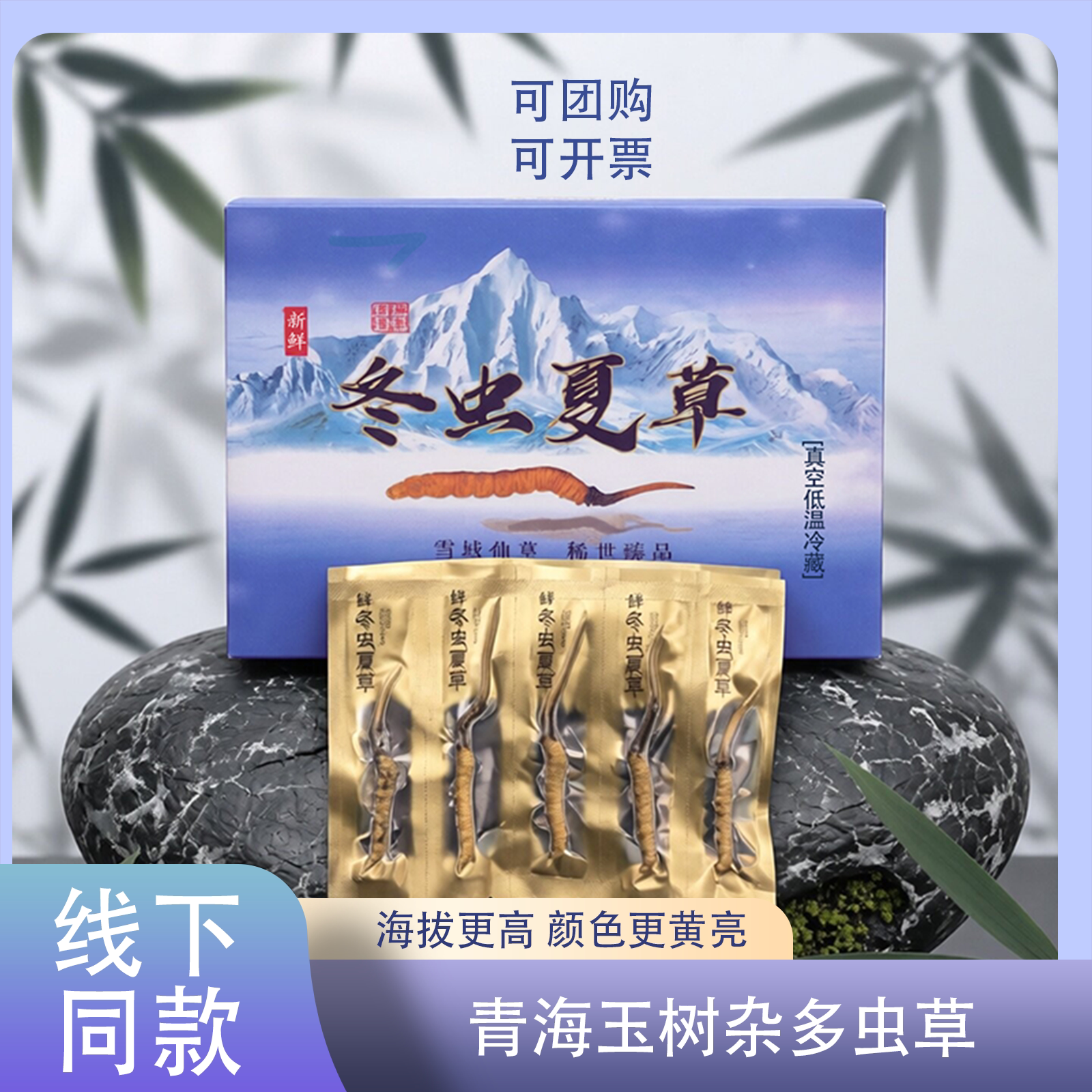 青海玉树杂多冬虫夏草鲜虫草顺丰空运新鲜直达源头直采发货