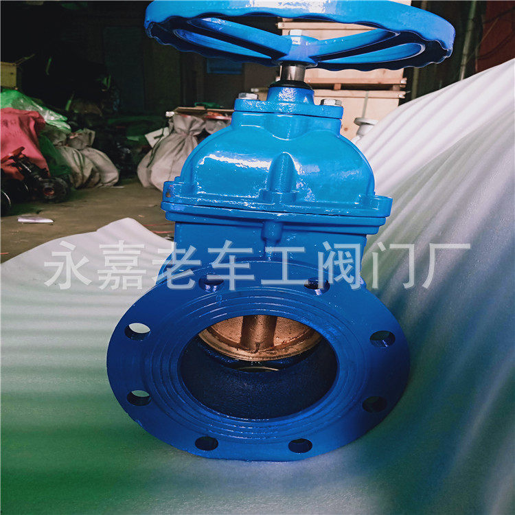 Z45T-10Q 球墨铸铁法兰弹性座密封闸阀 铜芯硬密封闸阀 DN100