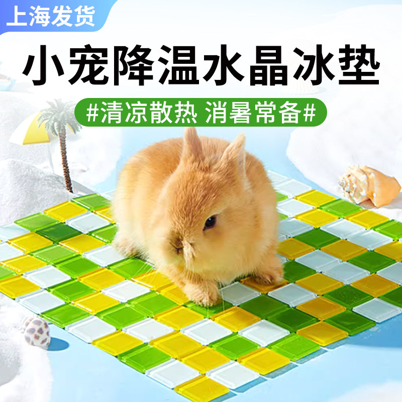 兔子冰垫宠物夏季仓鼠降温板龙猫荷兰猪消暑冰窝散热水晶垫子凉席
