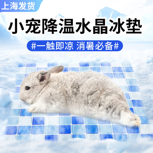 兔子降温冰垫夏季凉席水晶垫子