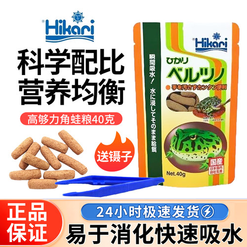 日本高够力角蛙粮食饲料两栖蛙粮