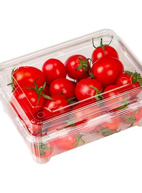 加水果打包盒PTE吸西塑草LFY莓瓜盒有盖超市透明塑料水果盒厚
