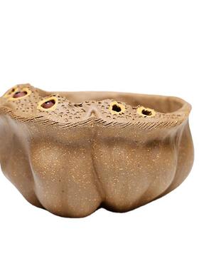 宜兴紫砂杯子品人茗莲蓬莲子主杯CCD428口杯茶碗原小矿手工创杯意