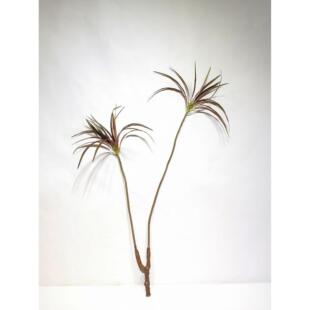 仿真室植血物龙OXV舌兰龙树仿真千绿木植内景观样板间花艺