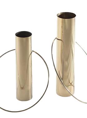 样板间轻现WSB代奢电器镀样金属创意试管花软装板房客厅餐桌干花