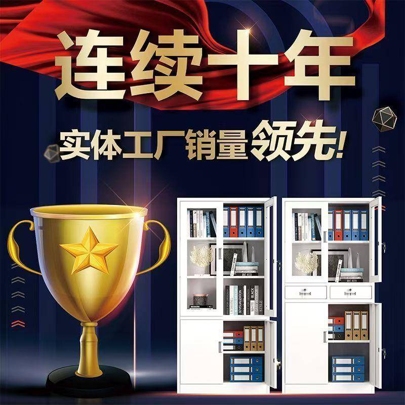 带锁储物柜资料档案柜书柜钢制办公铁皮文件柜凭证柜矮柜更衣柜子