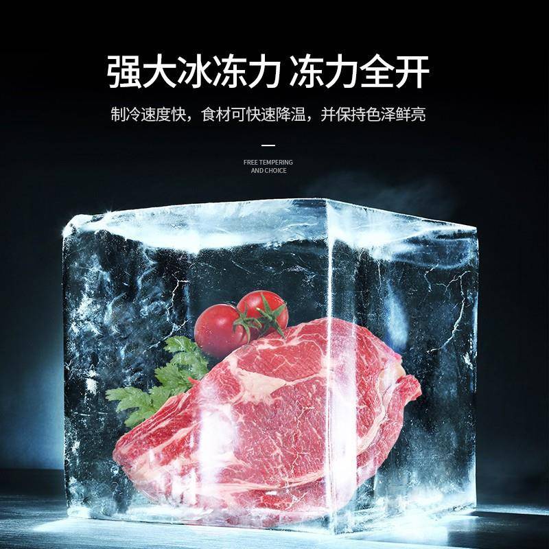 冻货无霜冷柜一级节能小冰柜家用全冷冻小型迷你省电保鲜冷藏冷冻