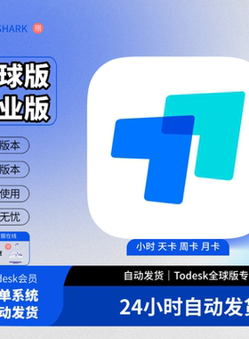 ToDesk远程会员 全球版跨境VIP海外专业性能版VIP插件电脑TD租号