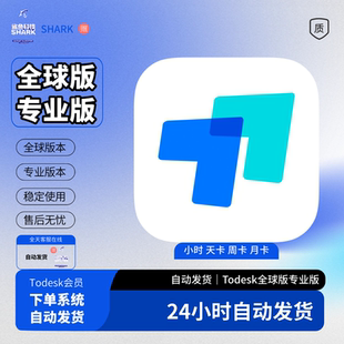 ToDesk远程会员 全球版跨境VIP海外专业性能版VIP插件电脑TD租号