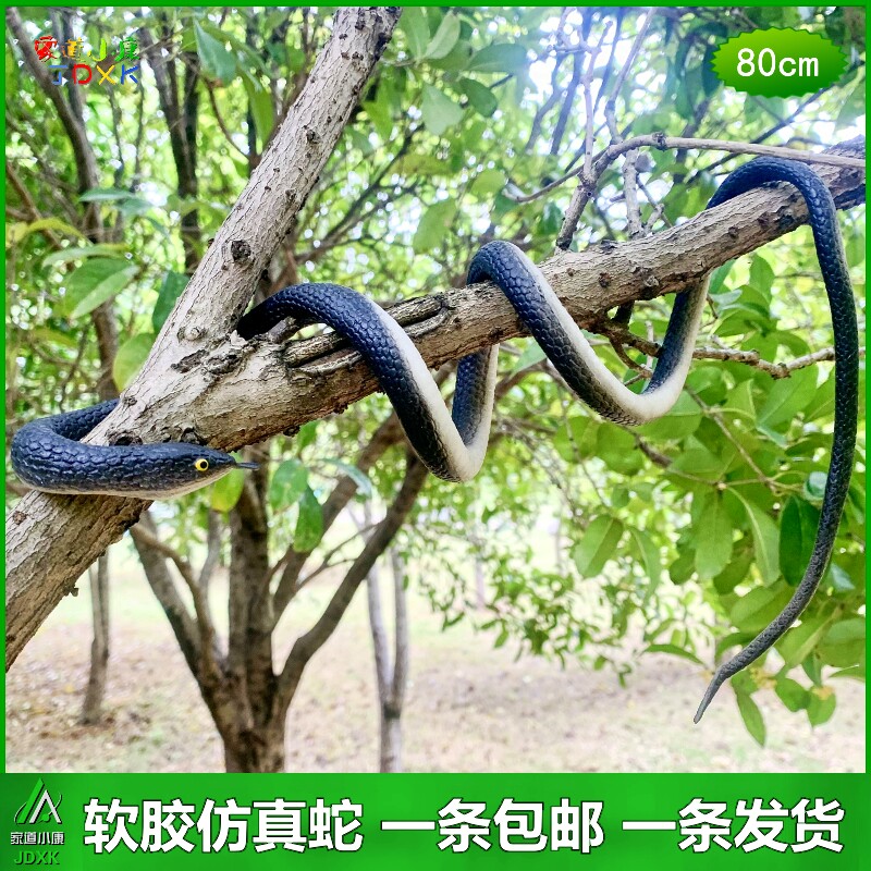 黑色软胶蛇仿真蛇幼儿园儿童认知玩具蛇吓人吓人假蛇爬行动物模型
