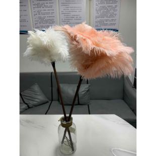 饰掸 肉粉鸵鸟毛掸子胡桃木柄鸡毛掸子静电除尘掸家用扫车桌面装